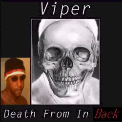 Death From In Back by Viper
