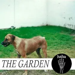 haha by The Garden