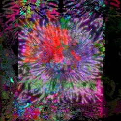 GIF OF THE MAGI by Kid Indigo