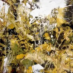 Notes On Belonging by Tiny Leaves
