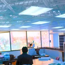 W-CD by Office WRKR