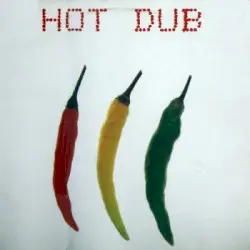 Hot Dub by Sly & Robbie