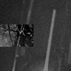 N E T A R I H I L A S by Slikback