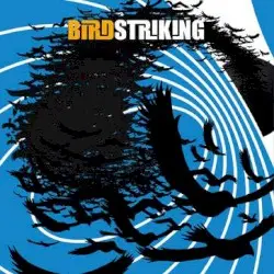 Birdstriking by Birdstriking