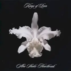 Aha Shake Heartbreak by Kings of Leon