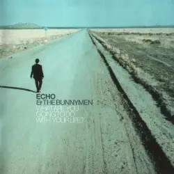 What Are You Going to Do With Your Life? by Echo & the Bunnymen
