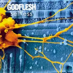 Selfless by Godflesh