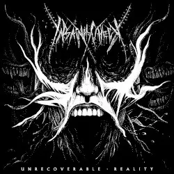 Unrecoverable Reality by Insanity Check