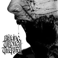 The Truth by Bleeding Through