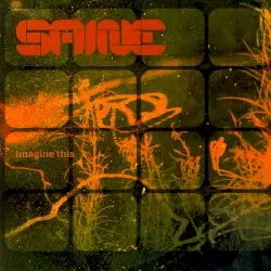 Imagine This by Saine