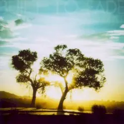 To Dust by Built to Fade