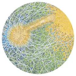 Feeling Is Structure by Max Cooper