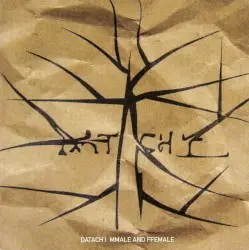 Mmale and Ffemale by Datach’i