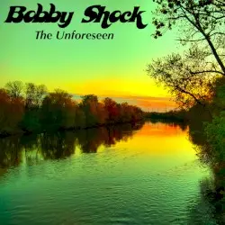 The Unforeseen by Bobby Shock
