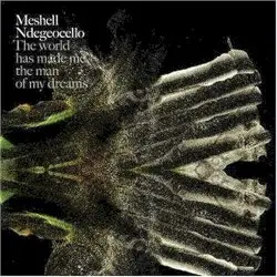 The World Has Made Me the Man of My Dreams by Meshell Ndegeocello