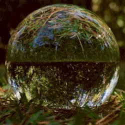 Spiral by DARKSIDE