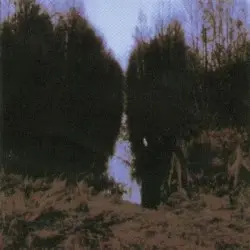 My Arms, Your Hearse by Opeth