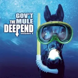 The Deep End, Volume 2 by Gov’t Mule