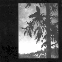 Where at Night the Wood Grouse Plays by Empyrium