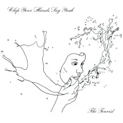 The Tourist by Clap Your Hands Say Yeah