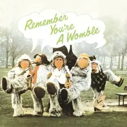 Remember You’re a Womble by The Wombles