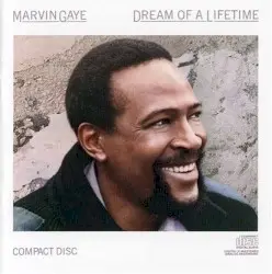 Dream of a Lifetime by Marvin Gaye
