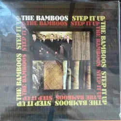 Step It Up by The Bamboos