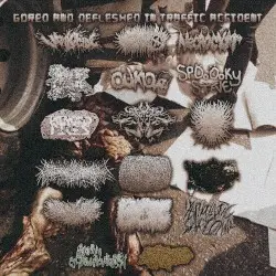 Gored and Defleshed in Traffic Accident by Viralocide; Angioimmunoblastic T-Cell Lymphadenopathy; NECROCYST; Decomposed Carcasses; Cukia; SpÖoÖoky Steve; Minced Piles; Spermicidal Suicide; AxFxBxUxDxGxACxTxYxPxFx; El Doctor Oga Split Dirty Cock; Gastrointestinal Candidiasis; Gymnothorax Javanicus; XBXOXA; B.O.K; Lymphoblastic Sarcoma; Abecedarian Esophagogastroduodenoscopy; Defecate