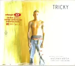 Vulnerable by Tricky