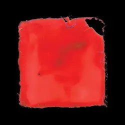 last chance to see by salvia palth