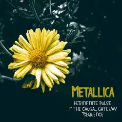 Her Infinite Pulse in the Causal Gateway Sequence by Metallica