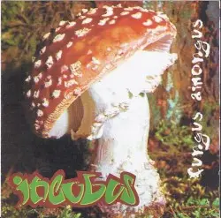 Fungus Amongus by Incubus