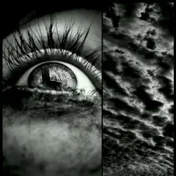 Illusions by Atomic Cat