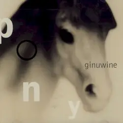 Pony by Ginuwine