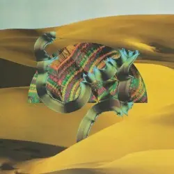 Django Django by Django Django