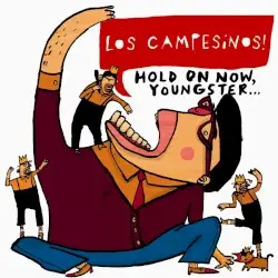 Hold On Now, Youngster… by Los Campesinos!