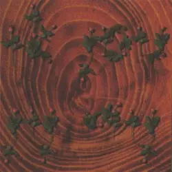 Ik jou & jij mij by Van Dik Hout