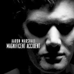 Magnificent Accident by Aaron Marshall