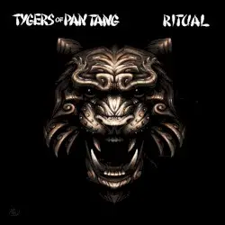 Ritual by Tygers of Pan Tang