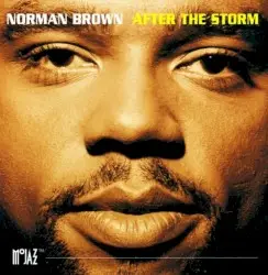 After the Storm by Norman Brown