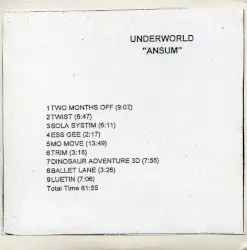 Ansum by Underworld