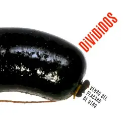 Vengo del placard de otro by Divididos