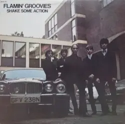 Shake Some Action by Flamin’ Groovies