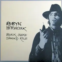 Black Snake Dîamonḑ Röle by Robyn Hitchcock
