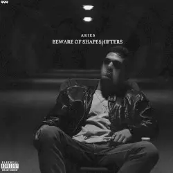 Beware of Shapeshifters by Aries