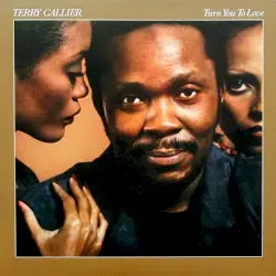 Turn You to Love by Terry Callier
