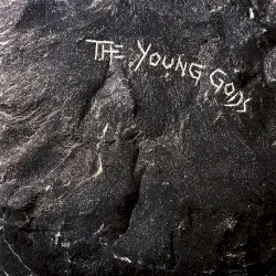 The Young Gods by The Young Gods
