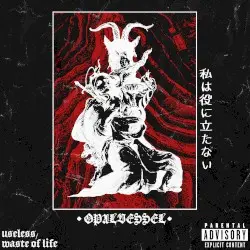 Useless, Waste of Life by Opal Vessel