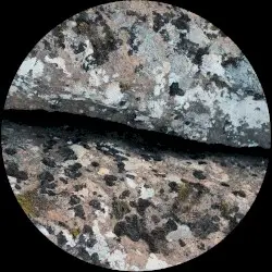 shift patterns by lovetrip