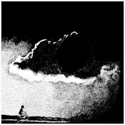 …To the Beat of a Dead Horse by Touché Amoré